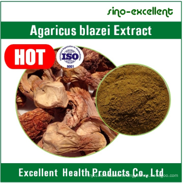 Agaricus Blazei Extract 30% for Anti-Tumor and Cancer